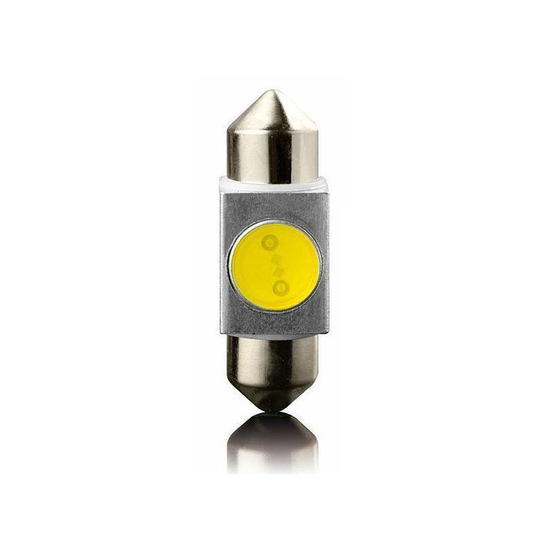 LED sufitka SV8,5 31mm 12V – bílá