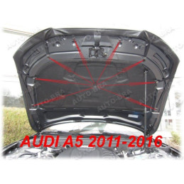 Audi A5 (11-16) potah kapoty CARBON černý