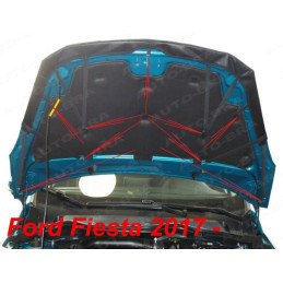 Ford Fiesta MK8 (2017+) potah kapoty CARBON černý