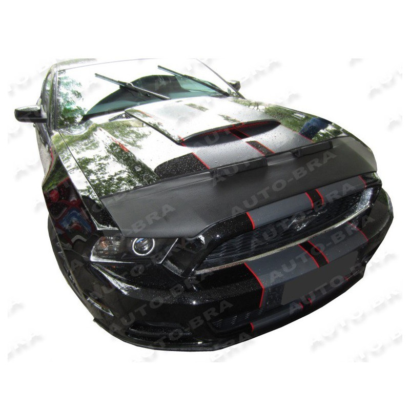 Ford Mustang GT (10-14) potah kapoty CARBON černý
