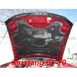 Ford Mustang V (05-10) potah kapoty CARBON černý