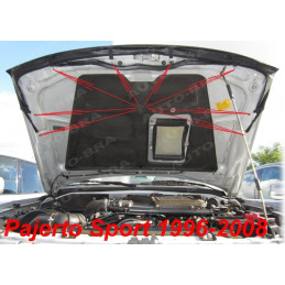 Mitsubishi Pajero Sport (98-06) potah kapoty CARBON černý