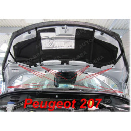 Peugeot 207 + CC (06-15) potah kapoty černý
