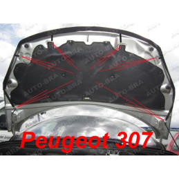 Peugeot 307 + CC (05-07) potah kapoty černý